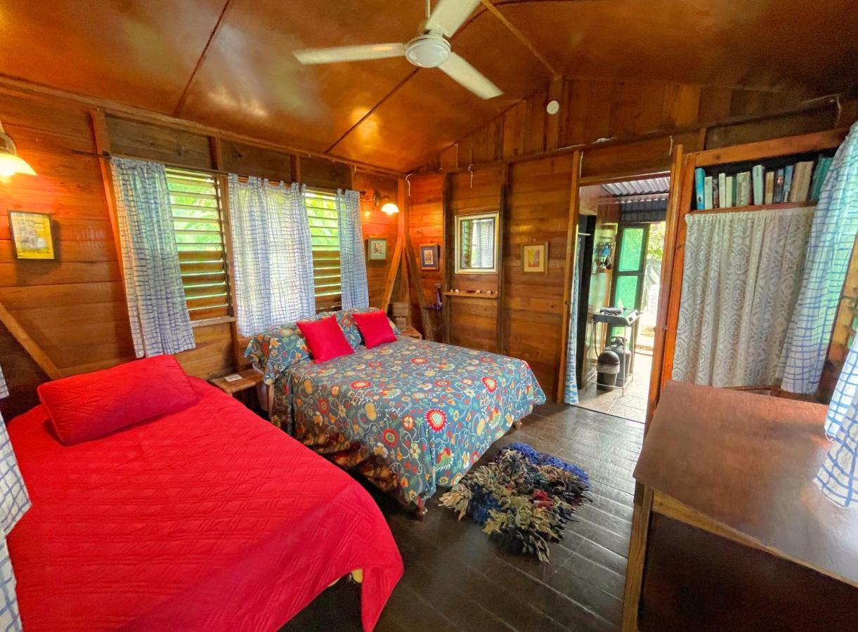 Judy House Cottages And Rooms Negril Eksteriør billede