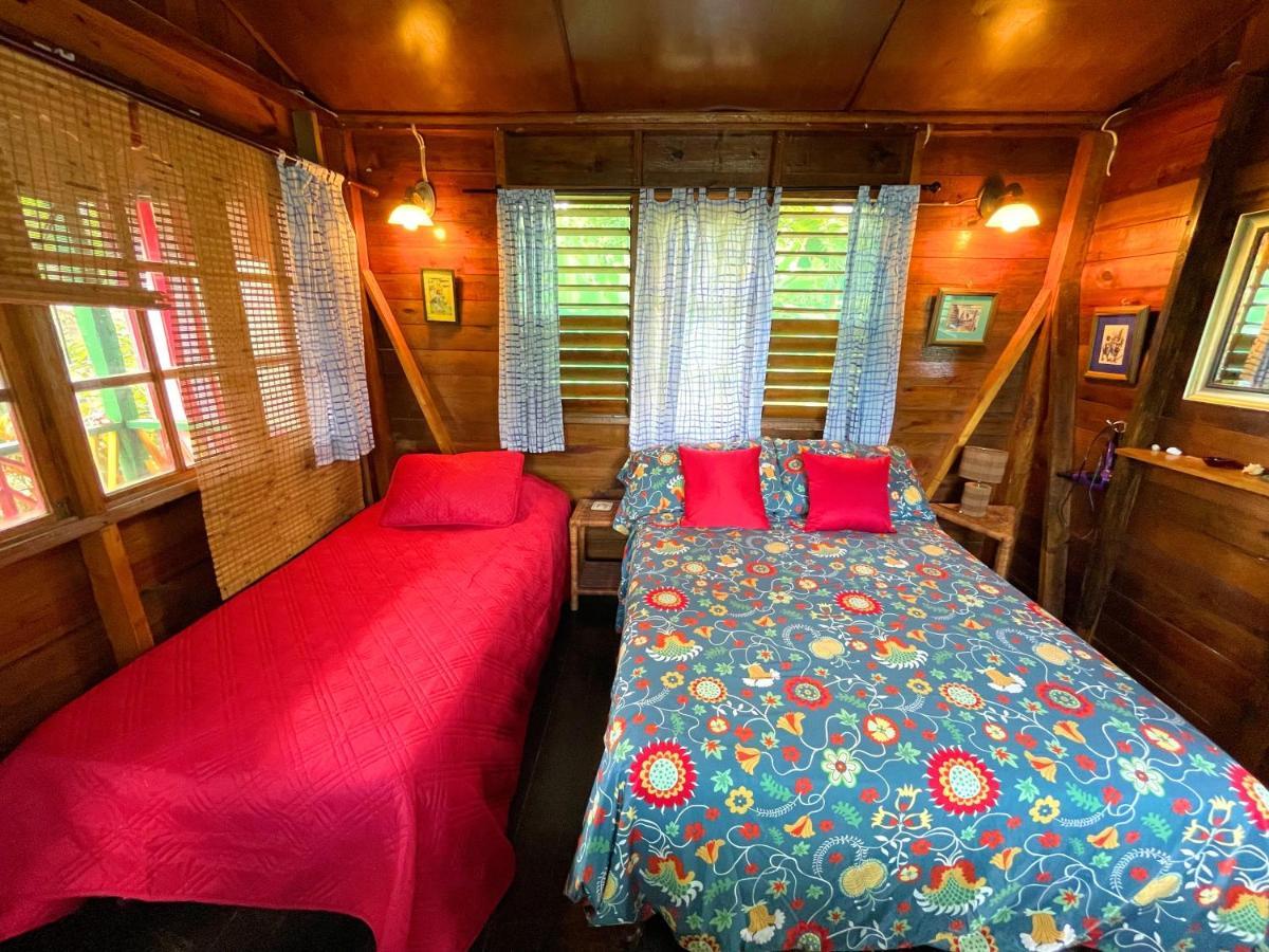Judy House Cottages And Rooms Negril Værelse billede
