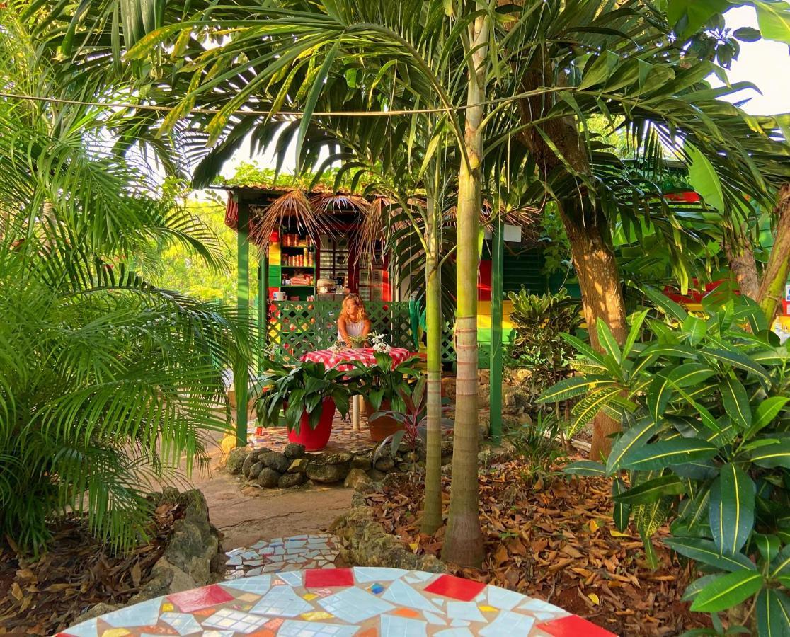 Judy House Cottages And Rooms Negril Eksteriør billede