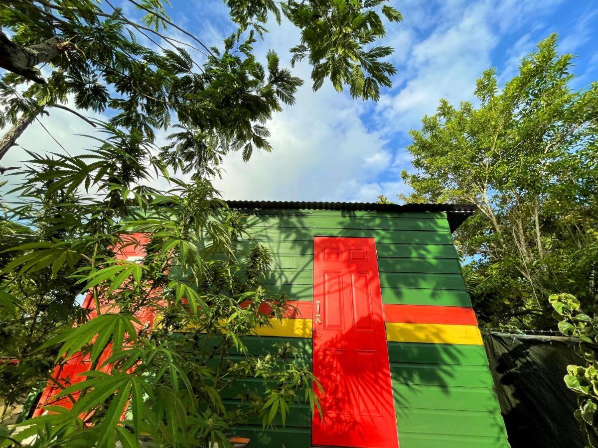 Judy House Cottages And Rooms Negril Værelse billede
