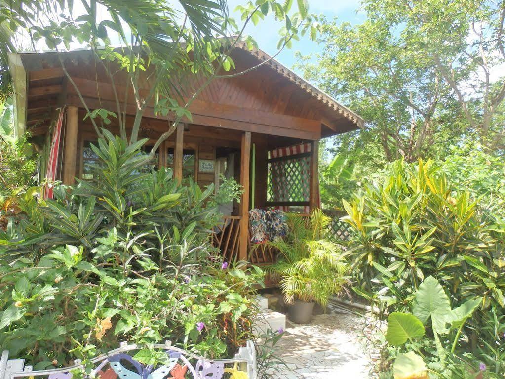 Judy House Cottages And Rooms Negril Eksteriør billede